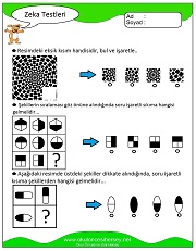 Zeka Gelişim Testleri